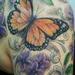 tattoo galleries/ - butterfly sleeve