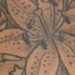 tattoo galleries/ -  - 39297
