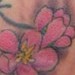 tattoo galleries/ -  - 39298
