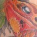 tattoo galleries/ -  - 39308