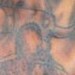 tattoo galleries/ - untitled - 40832