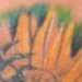 tattoo galleries/ - untitled