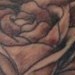 tattoo galleries/ - untitled - 41361