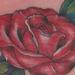 tattoo galleries/ - untitled