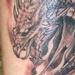 tattoo galleries/ - dragon - 57033