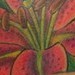 tattoo galleries/ - stargazer lily