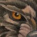 tattoo galleries/ - the wolf - 36603