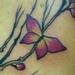 tattoo galleries/ - butterfly blossoms