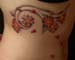 tattoo galleries/ - cherry blossoms - 18686