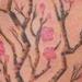 tattoo galleries/ - Cherry Blossom 