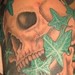 tattoo galleries/ - ivy skull - 43018