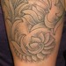 tattoo galleries/ - dotwork flowers - 44540
