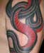 tattoo galleries/ - snake