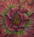 tattoo galleries/ - peony