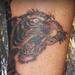 tattoo galleries/ - 1