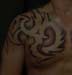 tattoo galleries/ - more tribal