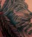 tattoo galleries/ - wolf - 16590