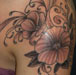 tattoo galleries/ - untitled