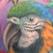 tattoos/ - Exotic Birds Tattoo - 49844