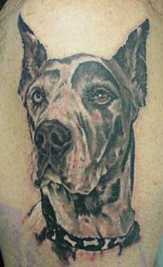Steve Morris - Dogs!
