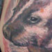 tattoo galleries/ - Badger