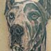 tattoo galleries/ - Dogs! - 14605