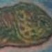 tattoos/ - Sea Turtle Tattoo - 49427