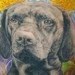 Dog Portrait Tattoo Thumbnail