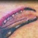 tattoo galleries/ - untitled