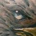 tattoo galleries/ - Eagle