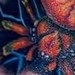 tattoo galleries/ - Spider