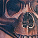 Tattoos - Skull on hand - 35080