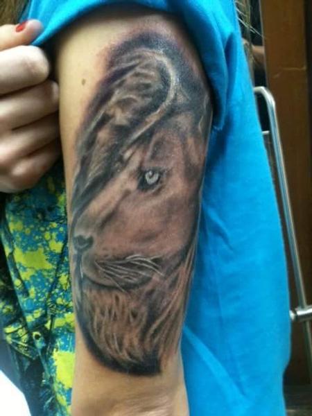 Mike Candelaria - Lion pride