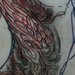 Peacock rib sketch Original Art Design Thumbnail