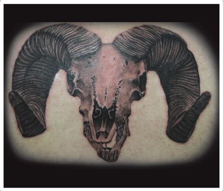 Tattoos - Realistic black and gray rams skull tattoo, Scott Grosjean Art Junkies Tattoo - 94231