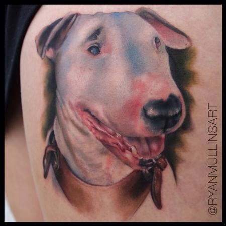 Ryan Mullins - Color portrait of a bull terrier