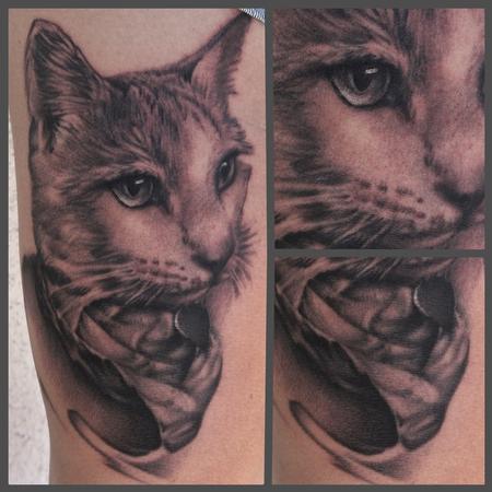 Ryan Mullins - Black and grey cat portrait