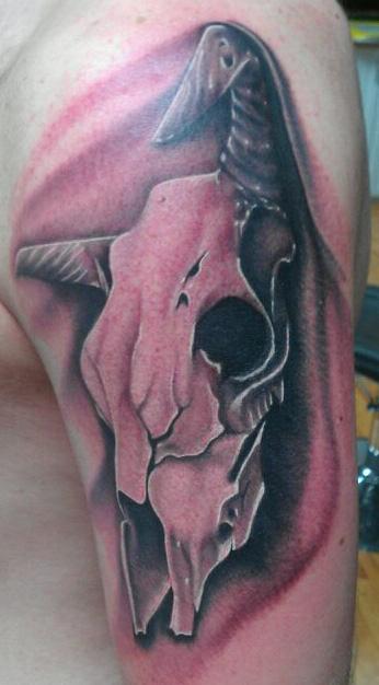 Scott Grosjean - Black and grey Texas long horn tattoo