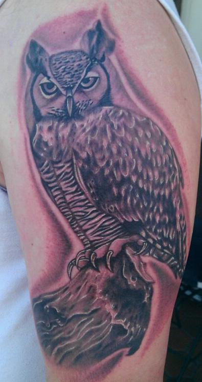 Scott Grosjean - Black and Grey portrait of owl tattoo