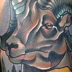 Tattoos - Traditional color mountain sheep, with mountain scenery tattoo. Gary Dunn Art Junkies Tattoo  - 101505