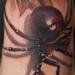 Tattoos - realistic black widow spider tattoo - 63922