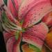 Tattoos - realistic assorted color flowers tattoo - 64569