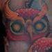 Tattoos - Traditional colored owl tattoo - 67634