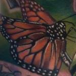 Realistic color Monarch butterfly tattoo, Brent Olson Art Junkeis Tattoo  Tattoo Thumbnail