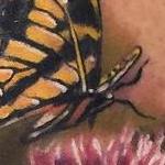 Tattoos - Realistic color butterflies with thistle flower. Ryan Mullins Art Junkies Tattoo - 102106