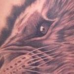 Tattoos - Realistic black and gray female lion tattoo, Scott Grosjean Art Junkies Tattoo  - 108676