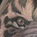 Tattoos - Realistic black and gray tiger tattoo, Scott Grosjean Art Junkies Tattoo - 94180