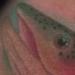 Tattoos - realistic color fish tattoo, Scott Grosjean Art Junkies tattoo - 94893