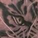 Tattoos - black and gray realistic tiger tattoo. Scott Grosjean Art Junkies Tattoo - 93565