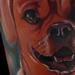 Tattoos - Color Dog Portrait Tattoo - 58811